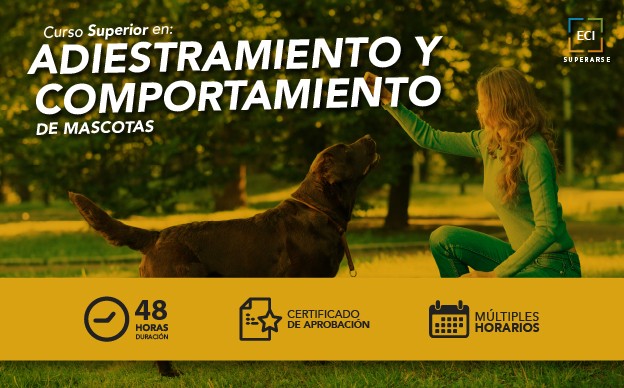 Curso Superior en Adiestramiento y Comportamiento de Mascotas