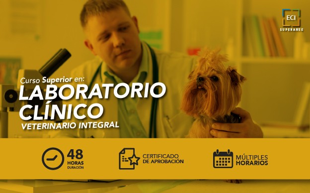 Curso Superior en Nutrición y Equilibrio Animal